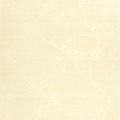 WNS5508
