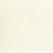 WNS5509