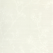 WNS5512