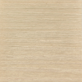 WNS5538
