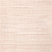 WNS5540