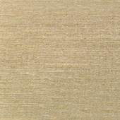 WNS5578