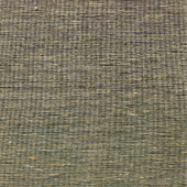WNS5579