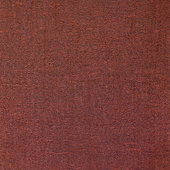 WNS5584