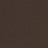 WPW1117
