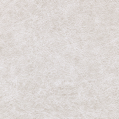 WPW1122