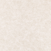 WPW1123