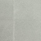 WPW1185