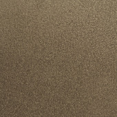 WPW1193