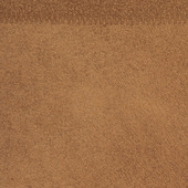 WPW1195