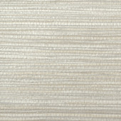 WPW1294