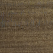 WPW1351