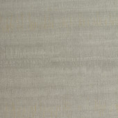 WPW1355