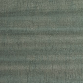 WPW1356