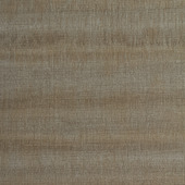 WPW1362