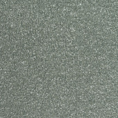 WPW1380