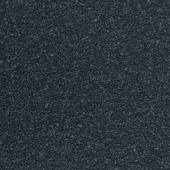 WPW1381