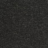 WPW1383