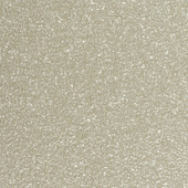 WPW1385
