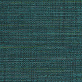 WPW1439