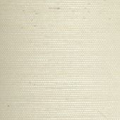 WSE1248