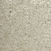 WSE1249P