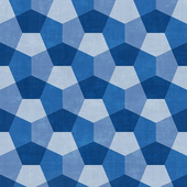 WSH1006