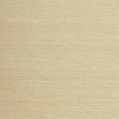WTE6076