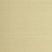 WTE6077