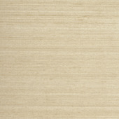 WTE6079