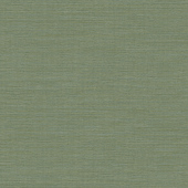 WTK35404