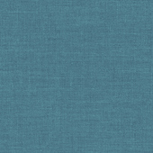 WTK56124