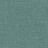 WTK56134