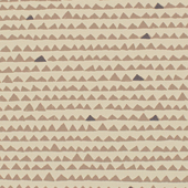 WTN1061