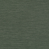WTN1097