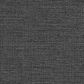 WTN1099