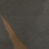 WHC1006