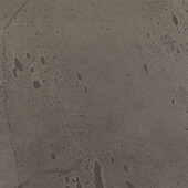 WHC1007